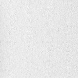 Annabelle Hobby Canvas